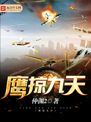 鹰掠九天小说推荐